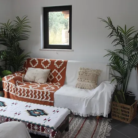 Casa Do Rio Treixedo